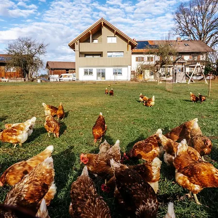 Aggenstein , Linde, Seeg-enzenstetten Im Allgaeu, Mit Koenigscard Apartman